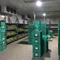 Blue Star DX Unit Installation Service Providers - NINJA AC